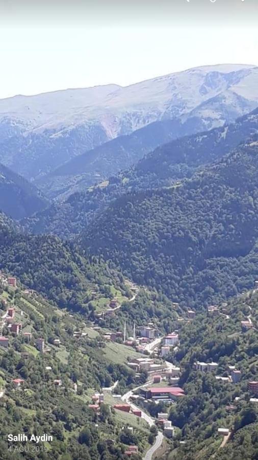 Mavı Köşk Uzungöl Apart otel Dış mekan fotoğraf