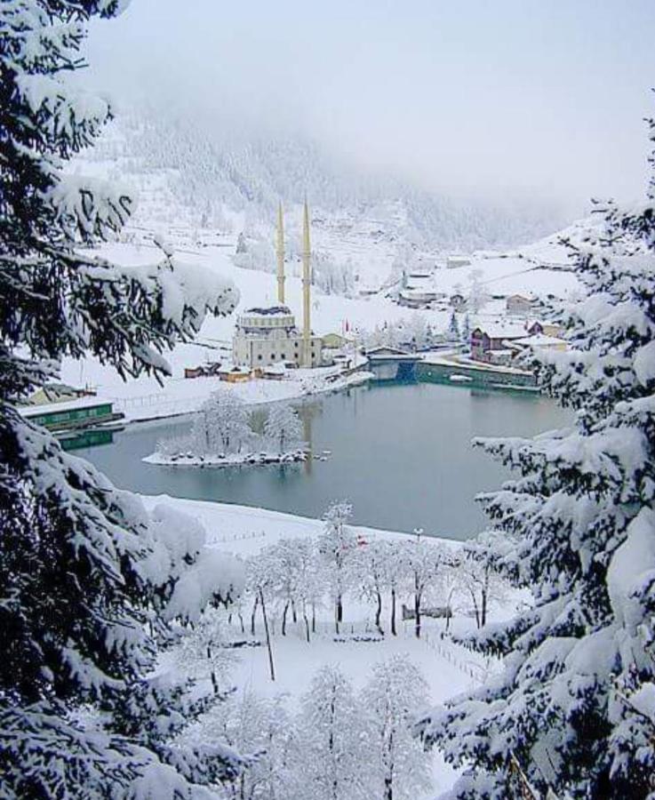 Mavı Köşk Uzungöl Apart otel Dış mekan fotoğraf